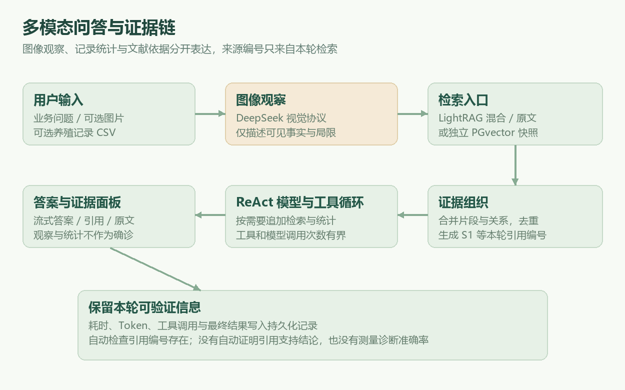 LightRAG 检索与证据编号、引用核查流程